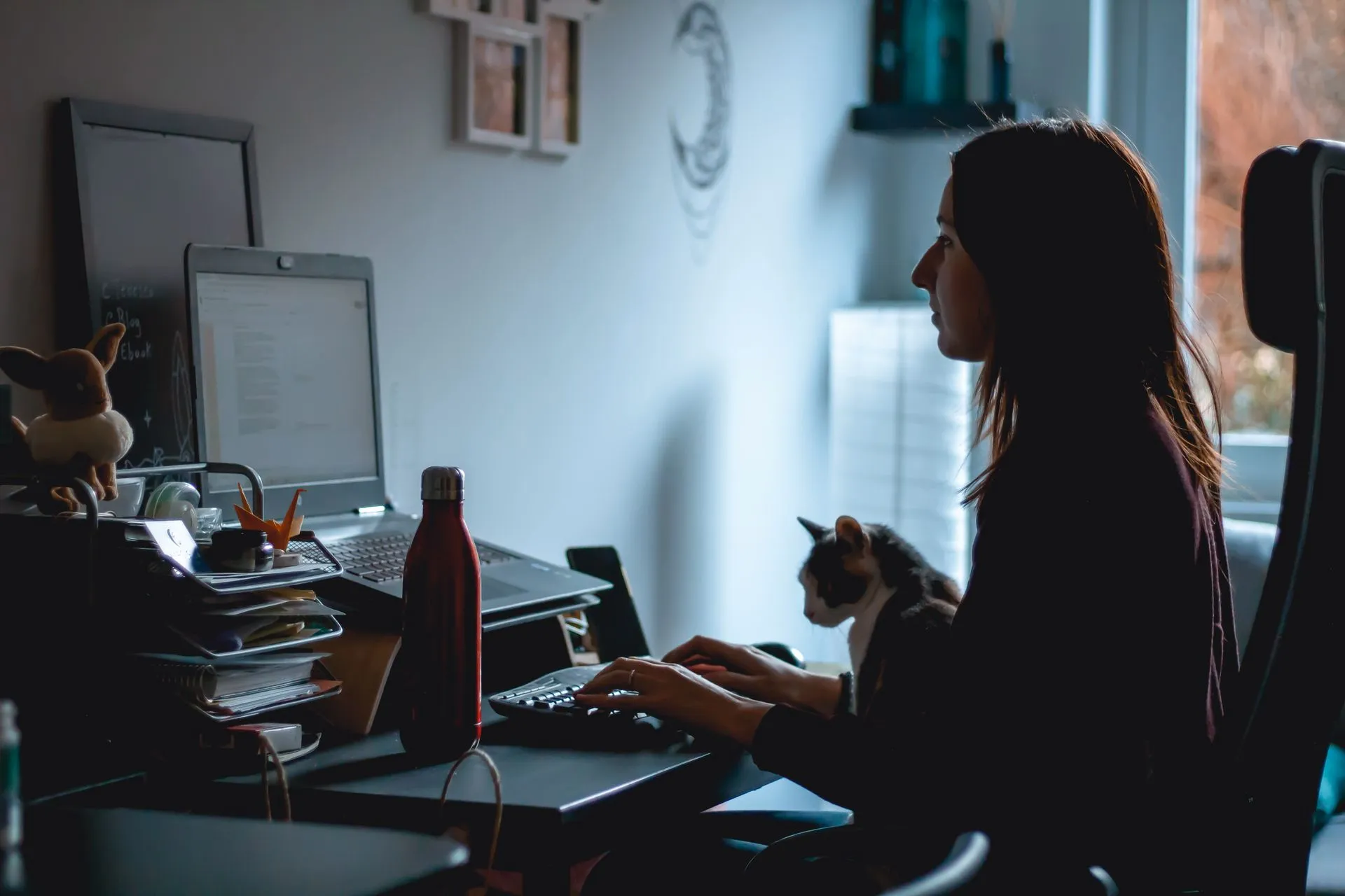 Can I Write My Own ESA Letter?