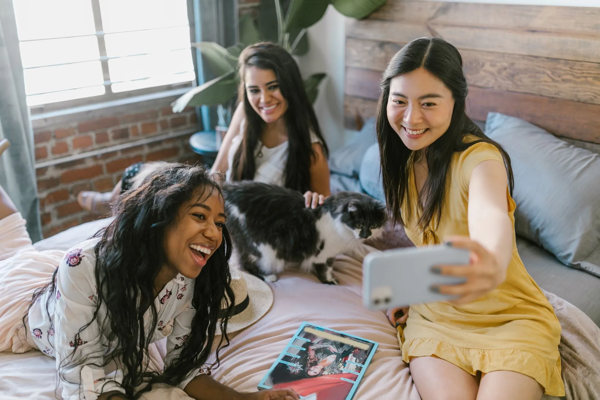 My Roommate Is Allergic to My ESA. Now What?
