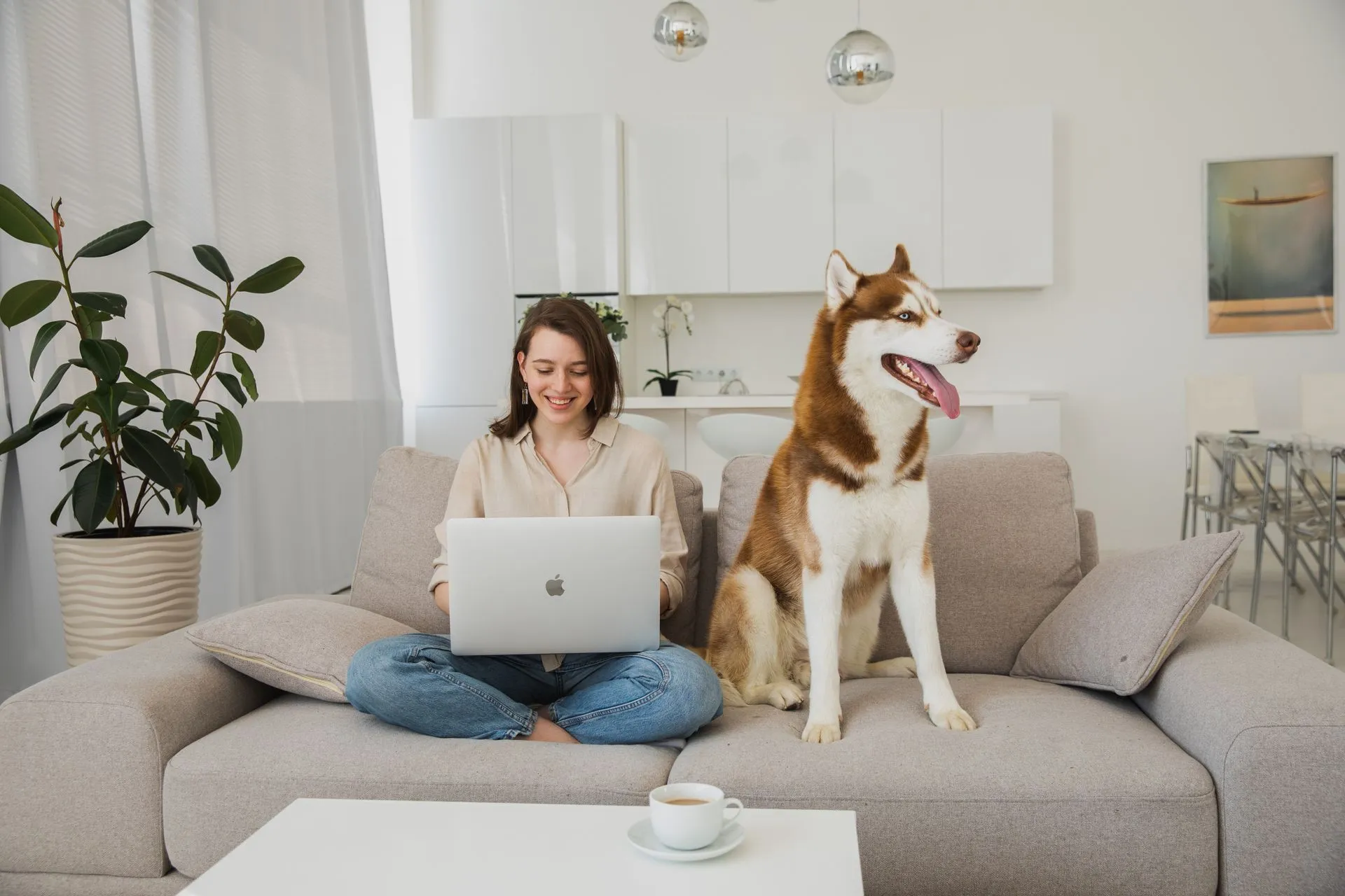 Emotional Support Animals in College Dorms in 2026