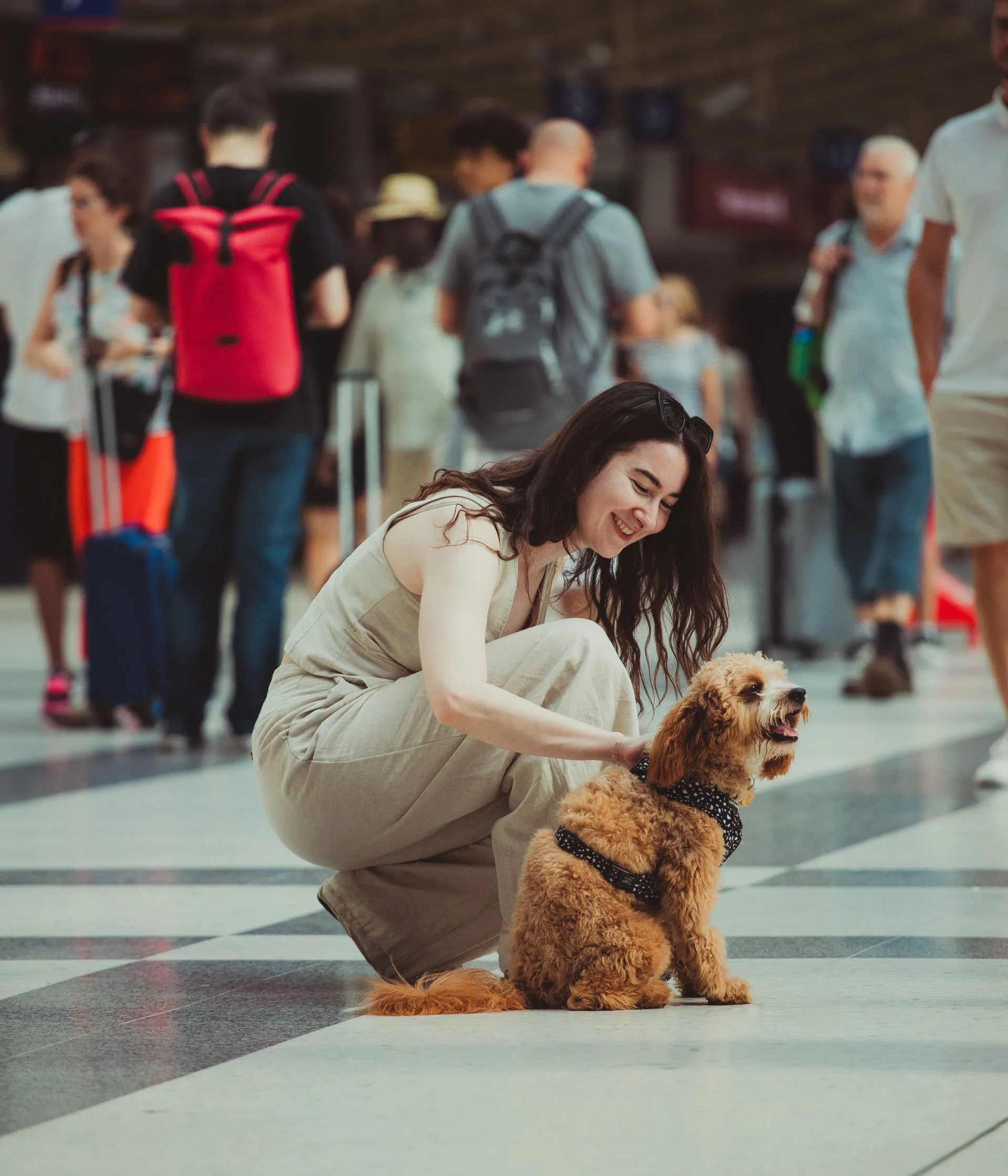 Flying With an Emotional Support Animal in 2026