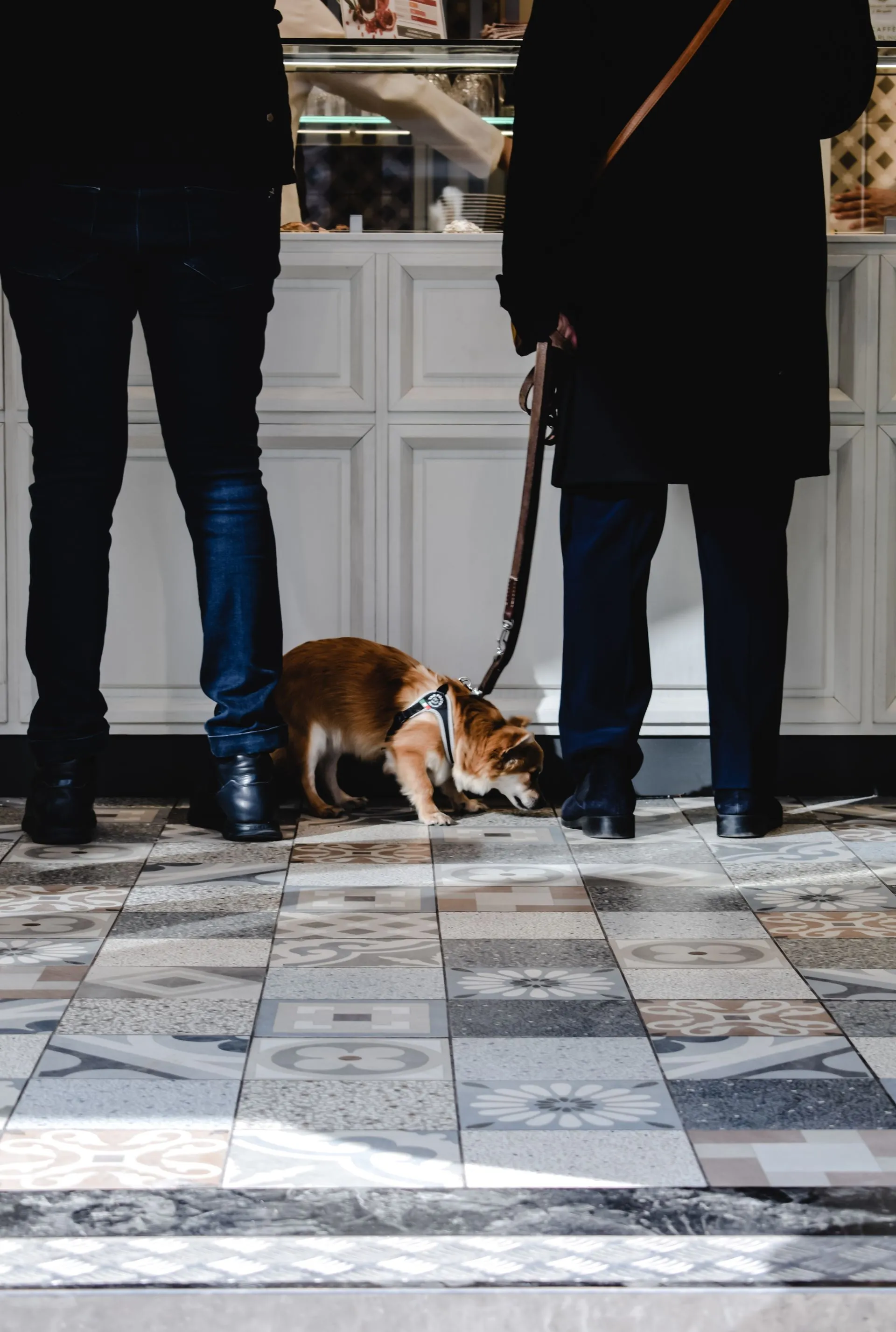 A Business Turned Away My Psychiatric Service Dog
